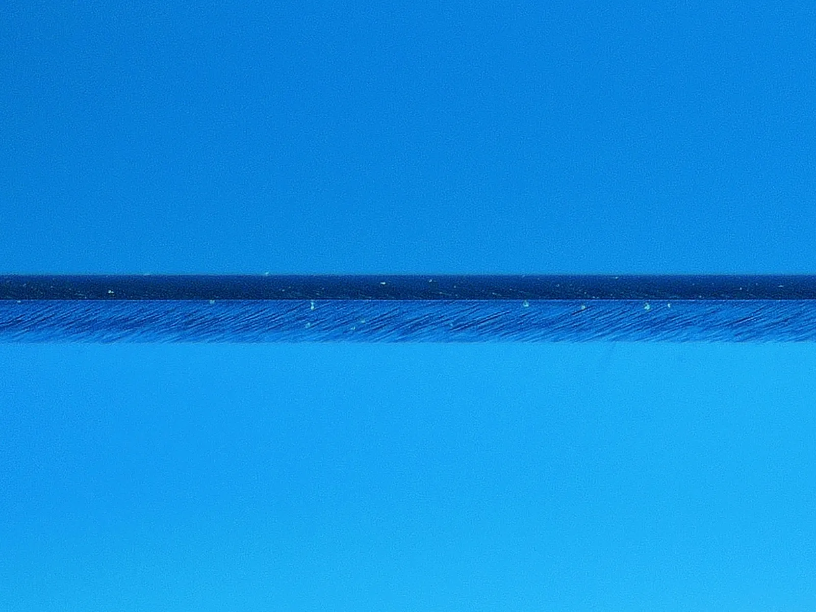 Sharp knife cutting edge without visible damage
